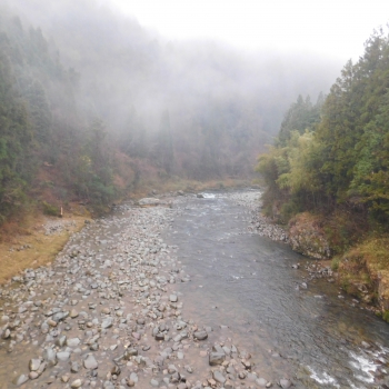 DSCN5220.JPG