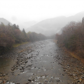 DSCN5223.JPG