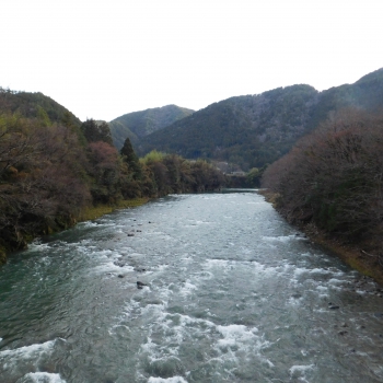 DSCN5236.JPG