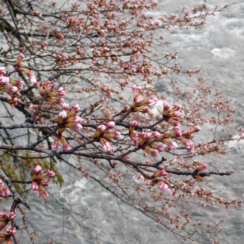 DSCN5237.JPG