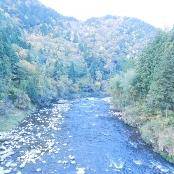 DSCN5244.JPG