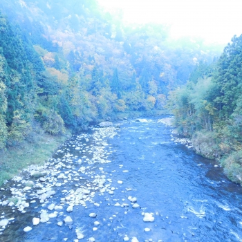 DSCN5248.JPG