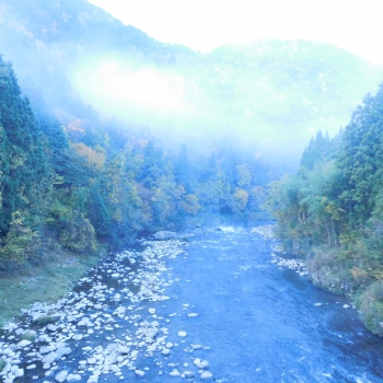 DSCN5253.JPG