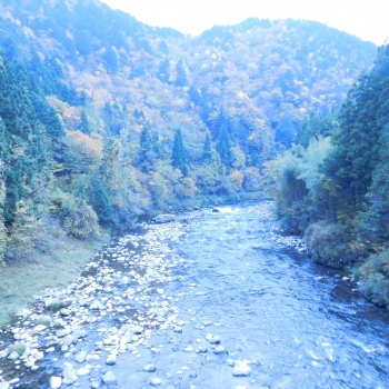 DSCN5257.JPG