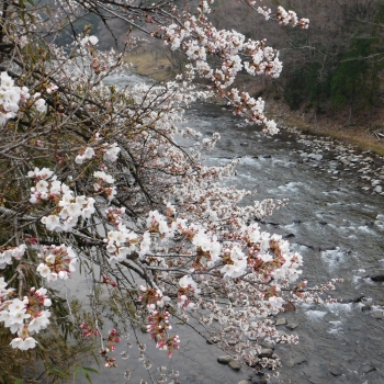 DSCN5259.JPG