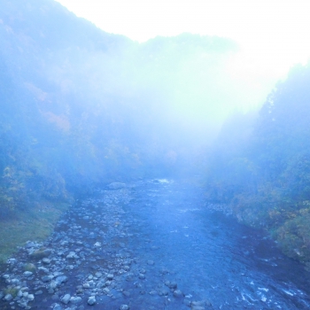 DSCN5261.JPG