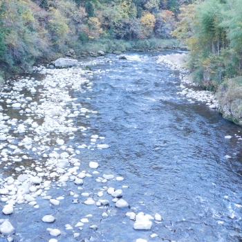DSCN5267.JPG