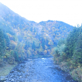 DSCN5271.JPG