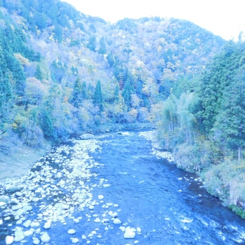 DSCN5275.JPG