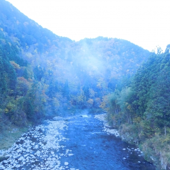 DSCN5279.JPG