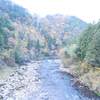 DSCN5287.JPG