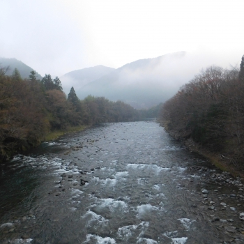 DSCN5305.JPG