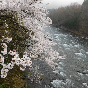 DSCN5306.JPG