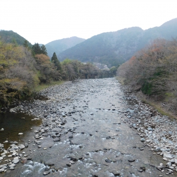 DSCN5324.JPG