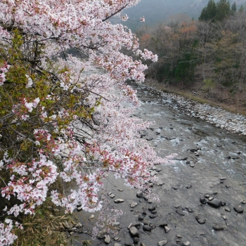 DSCN5325.JPG