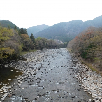 DSCN5329.JPG
