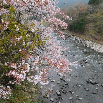 DSCN5330.JPG