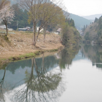 DSCN5332.JPG