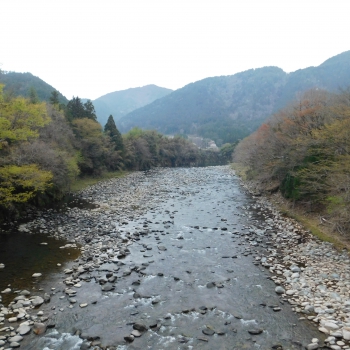 DSCN5339.JPG
