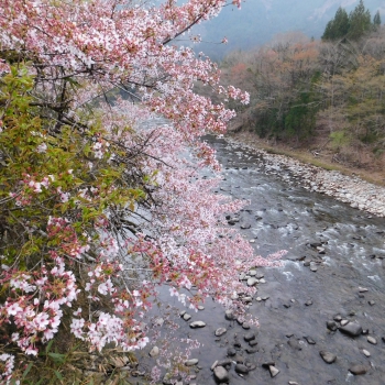 DSCN5340.JPG