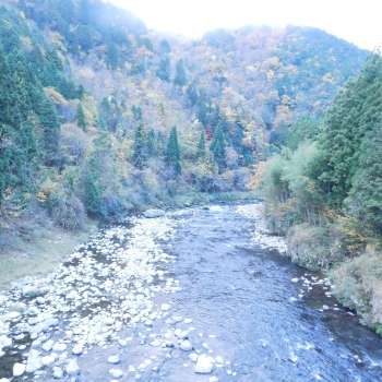 DSCN5346.JPG
