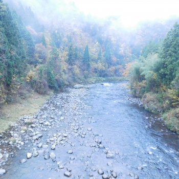DSCN5350.JPG