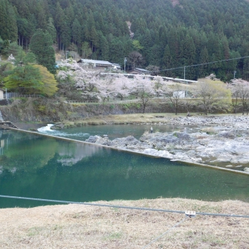 DSCN5351.JPG