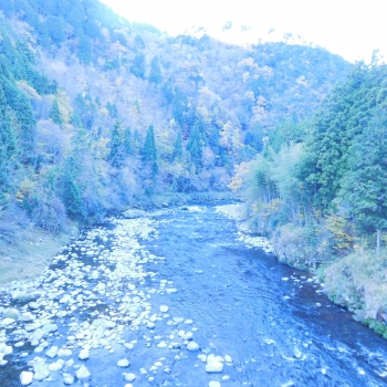DSCN5354.JPG