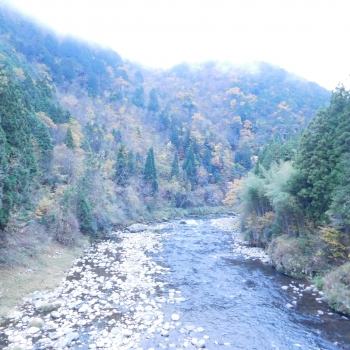 DSCN5358.JPG