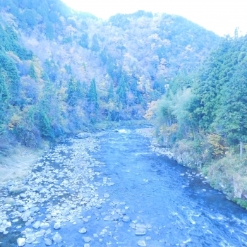 DSCN5362.JPG