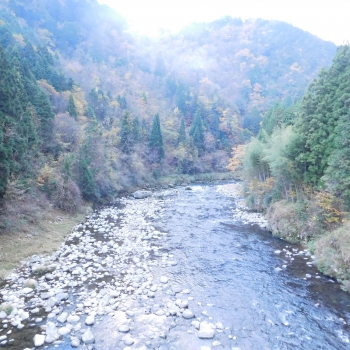 DSCN5366.JPG