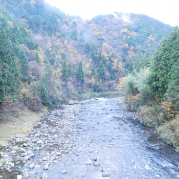 DSCN5427.JPG
