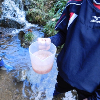 DSCN5435.JPG