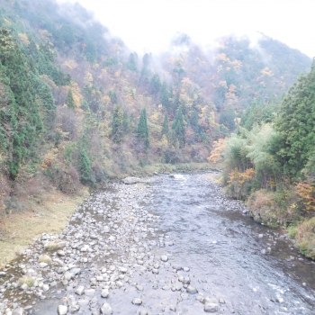 DSCN5463.JPG
