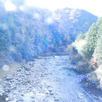 DSCN5467.JPG