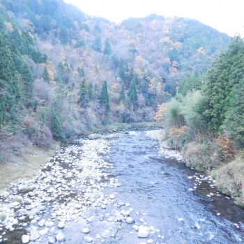 DSCN5471.JPG
