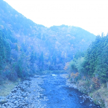 DSCN5475.JPG