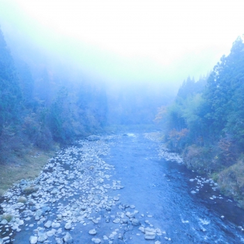 DSCN5479.JPG