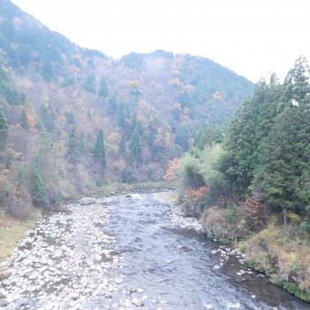 DSCN5489.JPG