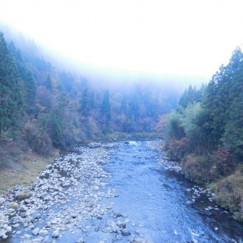 DSCN5496.JPG
