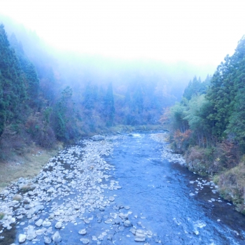 DSCN5500.JPG