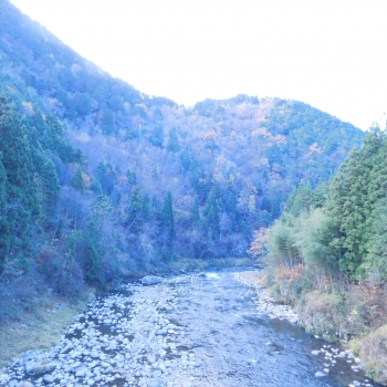 DSCN5504.JPG