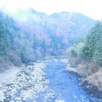 DSCN5512.JPG