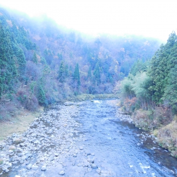 DSCN5516.JPG