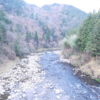 DSCN5520.JPG