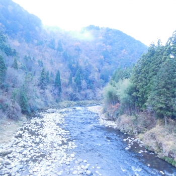 DSCN5524.JPG