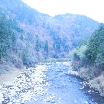 DSCN5528.JPG