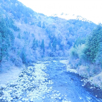 DSCN5532.JPG