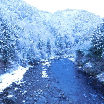 DSCN5536.JPG