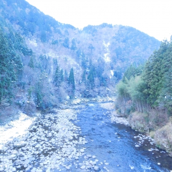 DSCN5544.JPG